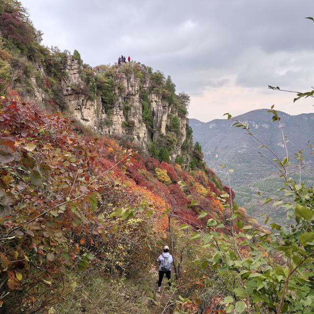 爬山有感，学会选择懂得放弃