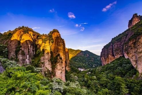 石斛的主要产地 2025年铁皮石斛的主要产地