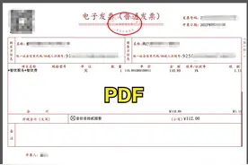 数电票PDF、OFD、XML格式分不清？用什么格式归档？看这里！图片