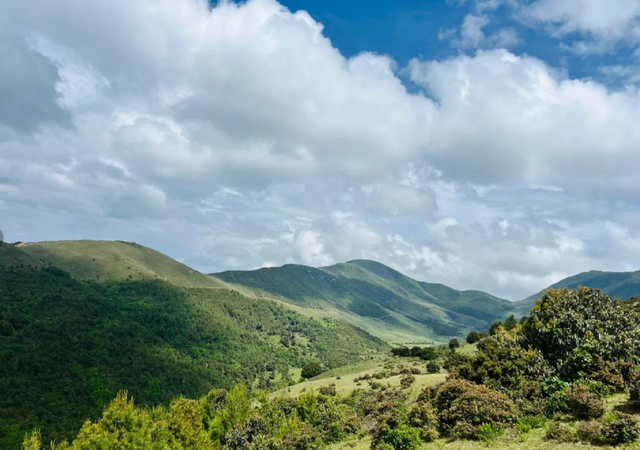 大理鸟吊山反转惊人，网红宣传后拒游客，保护与流量的博弈