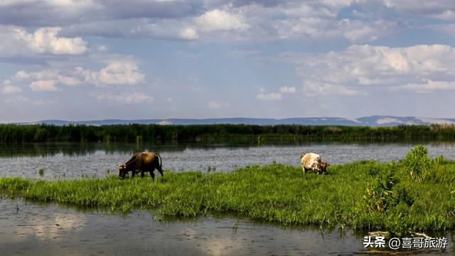 长白山下，鸭绿江源：寻访生命的隐秘之境