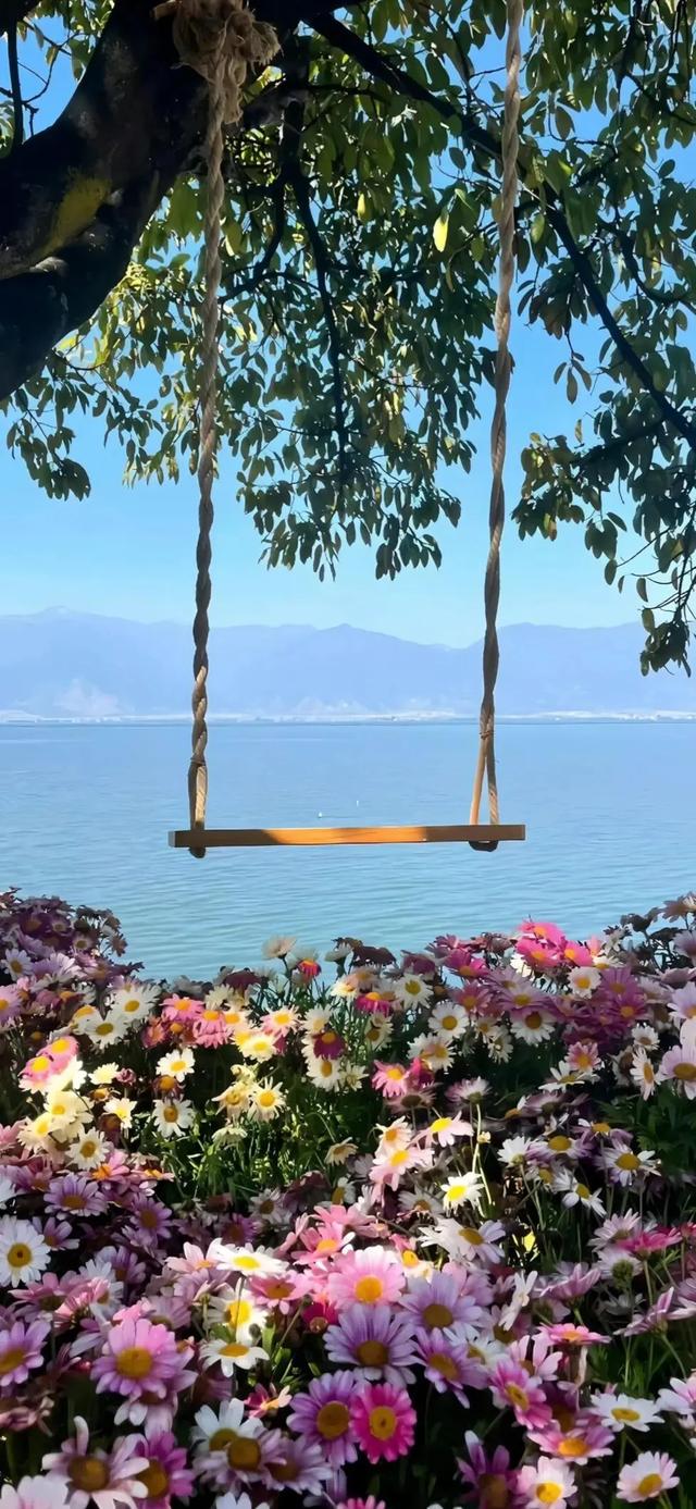 手机壁纸|山水湖海风景，各有千秋