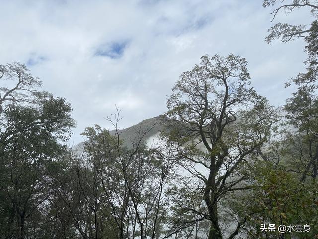 北京自驾长江三峡、神农架之旅（6）