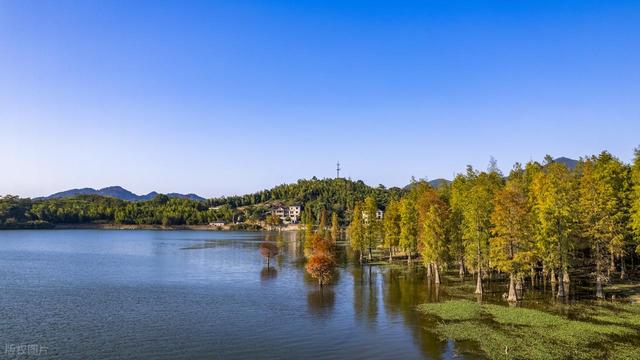秋冬景观大道，10月下旬-11月，适合自驾赏秋的6条线路