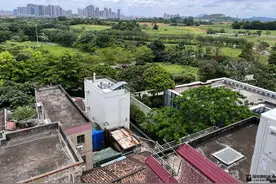 从福田搬到市郊古村，失业的34岁女程序员等待重启人生图片