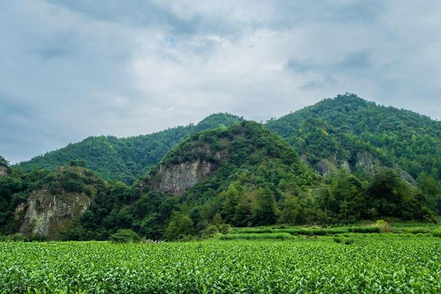 当天就能来回！上海周边6个适合爬山徒步的地方！沿途风景绝美