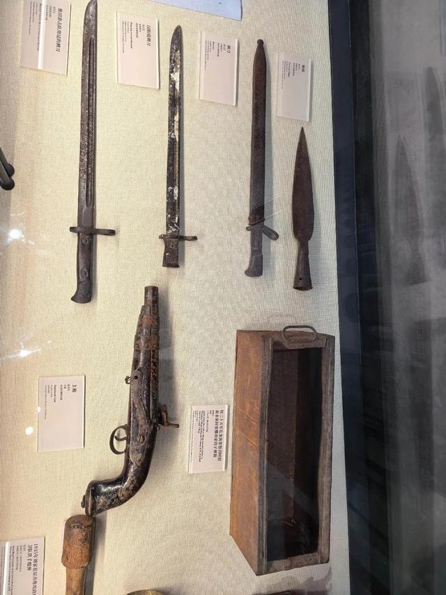 秦岭深处藏“地质史诗”！这座博物馆，藏着华夏龙脉的亿年密码