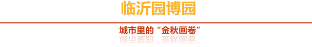 「沂蒙」叠翠映红黄——跟着色彩游临沂