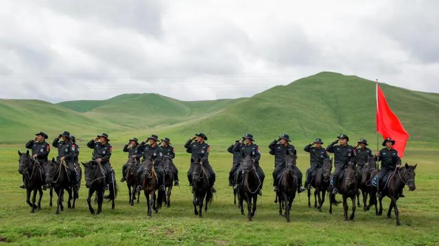 亚洲第一天然草场,中国名马河曲马诞生地,海拔3400米的湿地美翻