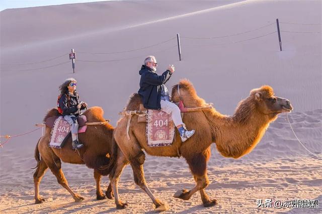 被甘肃“暖”到了！