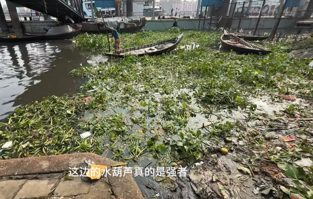 恒河水不能随便喝！中国小伙挑战后，当场呕吐不止，吐槽嘴像粪坑