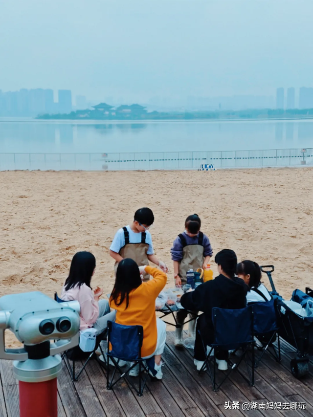 速报！这个地方银杏浓度达100%，赏芦苇、砍甘蔗，遛娃惊喜超多！