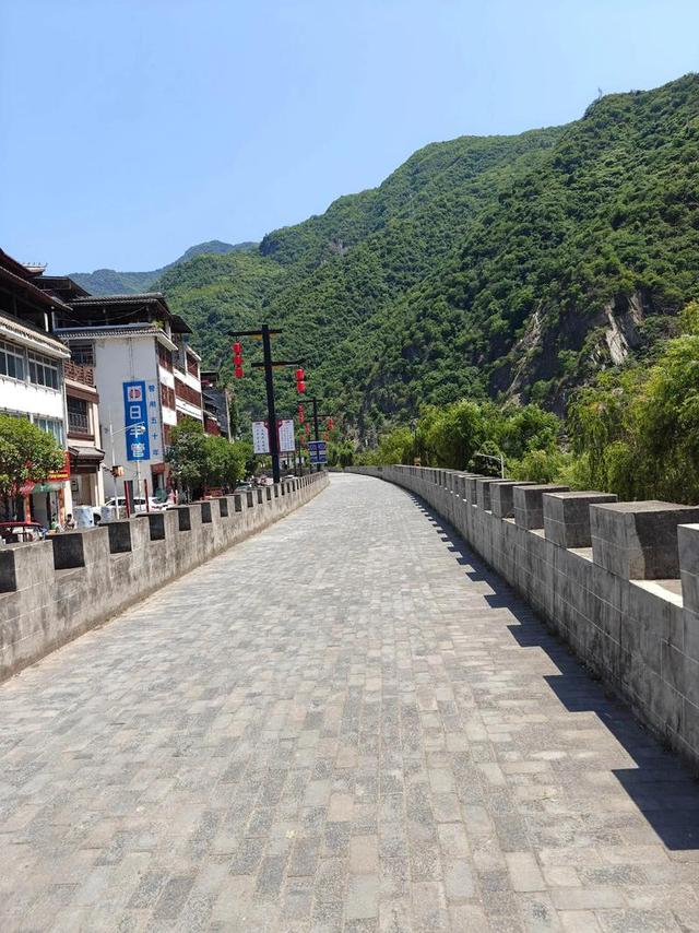 别等春天！陇南的冬日密语里，藏着限定版春日烂漫