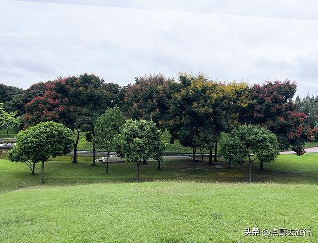 成都公园难得一见的旷野之景，画面超级唯美，地铁公交到达！