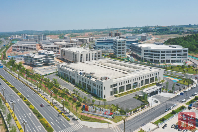 共拓“科技+文旅”新蓝海！粤港澳大湾区知名文旅企业青睐绵阳