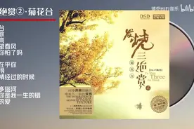 【无损音乐】 天籁之音《发烧三绝赏3CD -菊花台》DSD WAV+CUE图片