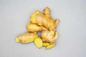 每日学一味中药--生姜图片