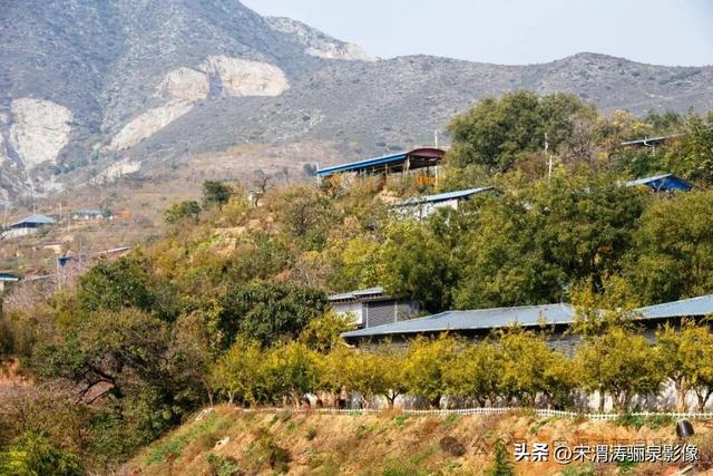 陕西渭南：柿饼甜美软糯可口 富平县曹村镇马坡村未来可期