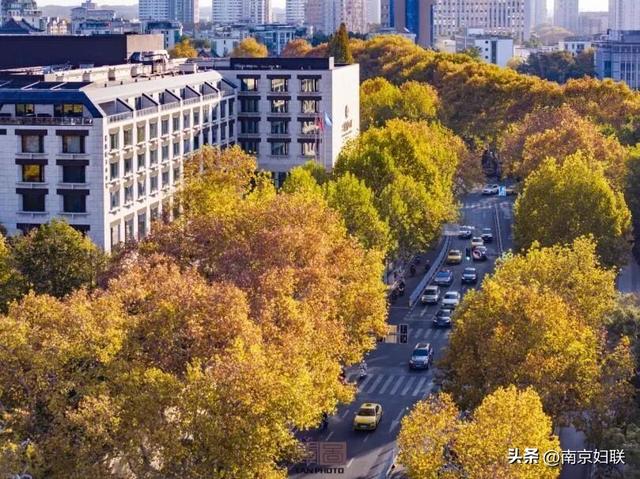 南京这些“魔法之窗”，怎么拍都出片！