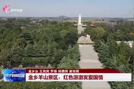 假日旅游 | 金乡羊山景区：红色游激发爱国情图片