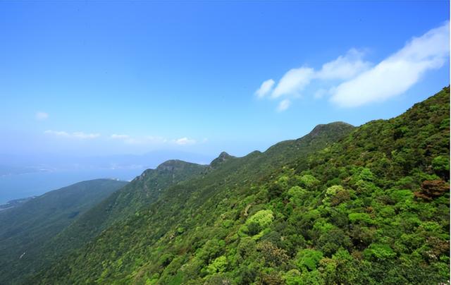 深圳知名景区紧急提醒→