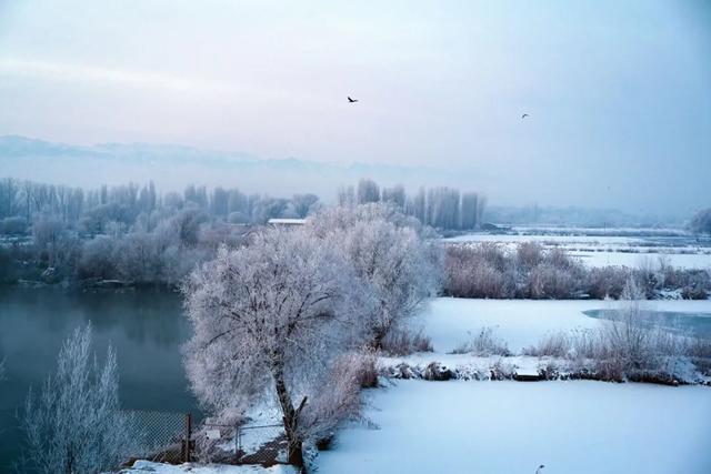如要选一个冬季最佳拍雪景的地方,首选一定是它