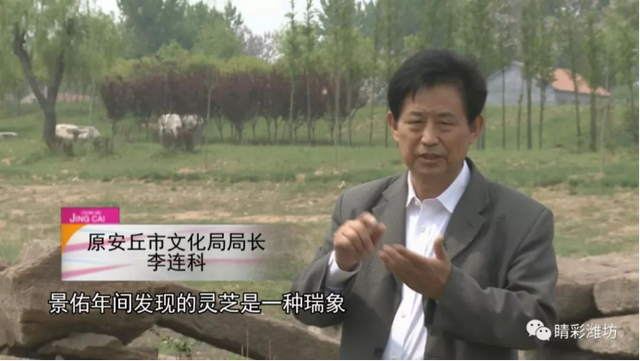追忆古镇景芝（上）