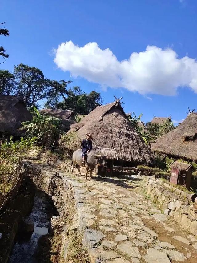 九年记录翁丁变迁:刘春雨直言,文化之变藏在村寨的烟火与灰烬里