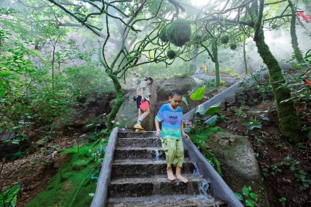 日照这里有个“天然能量场”！位置在……