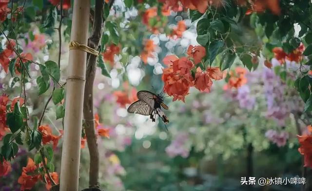 女人长期单身，会不会特别想男人？来听听3位女人的实话