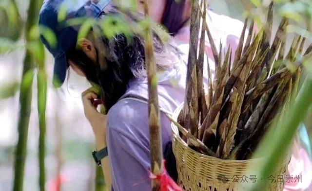 月是蜀州明——国庆中秋出游，一条攻略，玩转崇州！