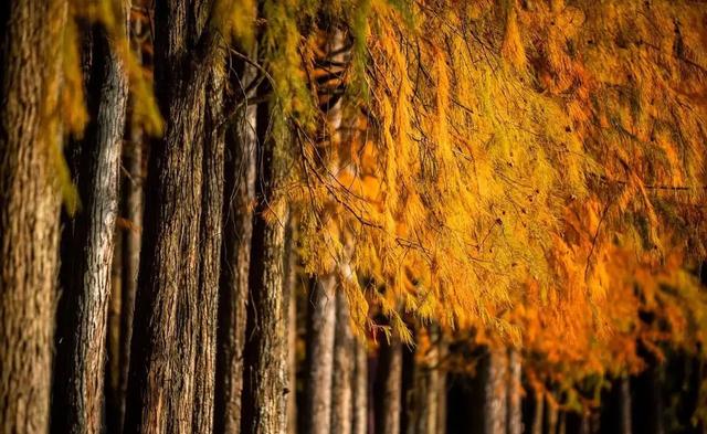 “最怕小雪是晴天”,今日小雪,小雪晴有啥预兆?