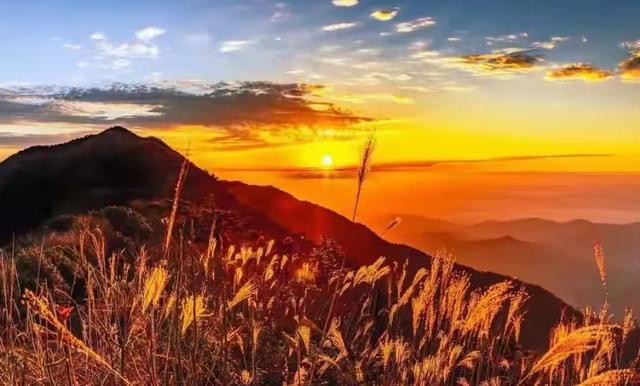 每天都是独一无二的限量版，活出自己的精彩和风景