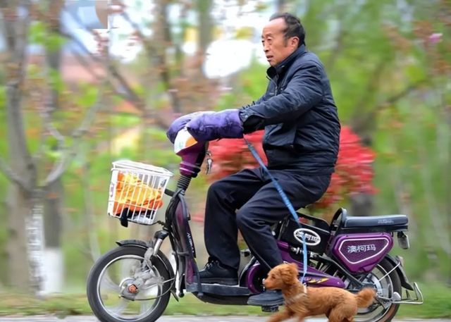 低速四轮车被禁后，新型接娃方式出现！网友：这下可好，不禁不罚 第8张