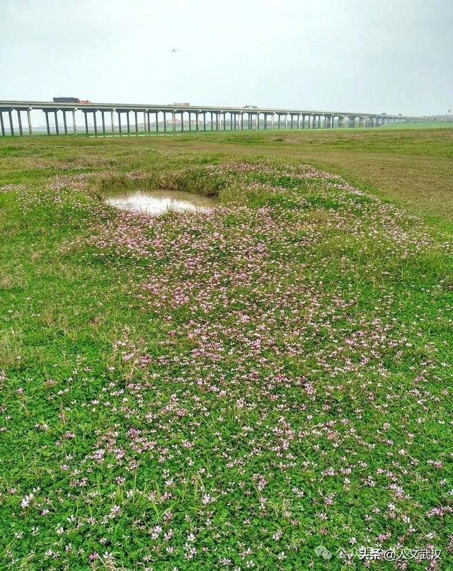 城市漫步 | 黄陂 • 初探黄花涝