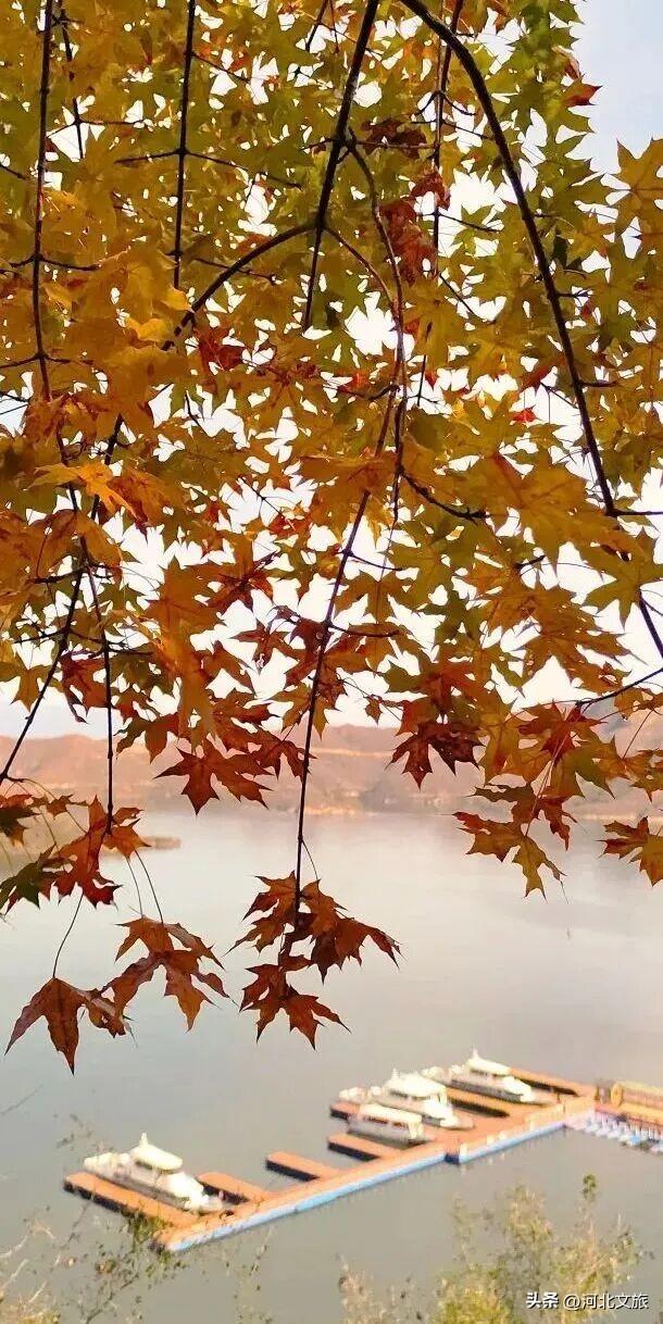 来保定，湖光山色+古镇烟火全都有！