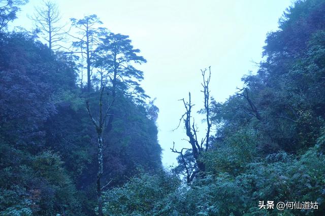 登临峨眉山