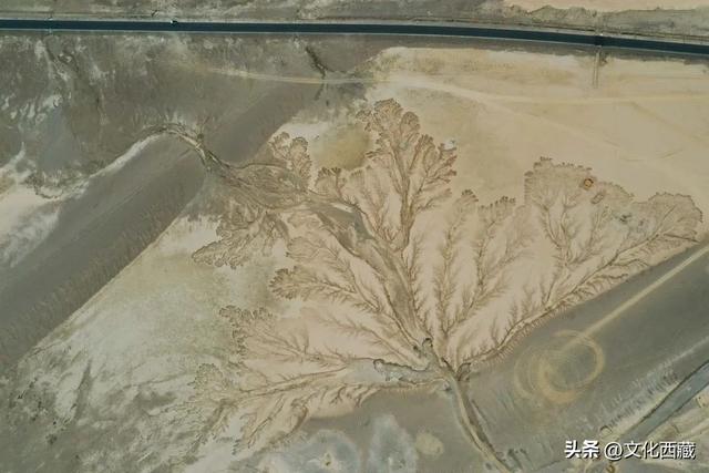 震惊老司机！走一遍就终身难忘！216国道到底有多绝？