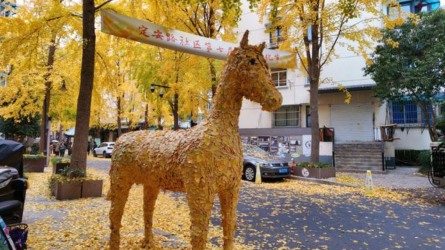 持续一周！抓住银杏的“尾巴”，到后市街打卡“疯狂动物城”