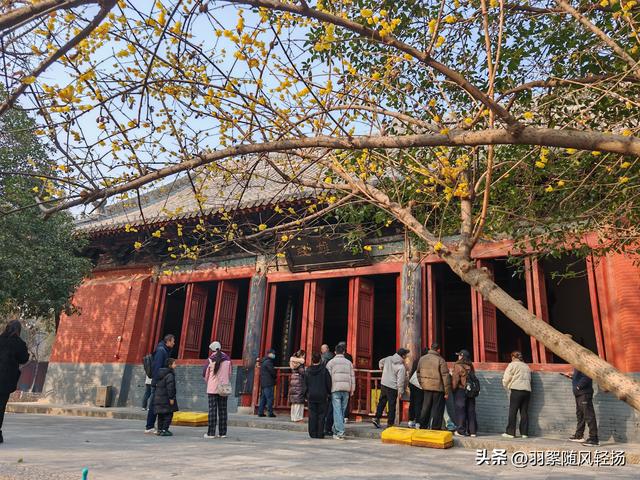 洛阳的美越来越精致