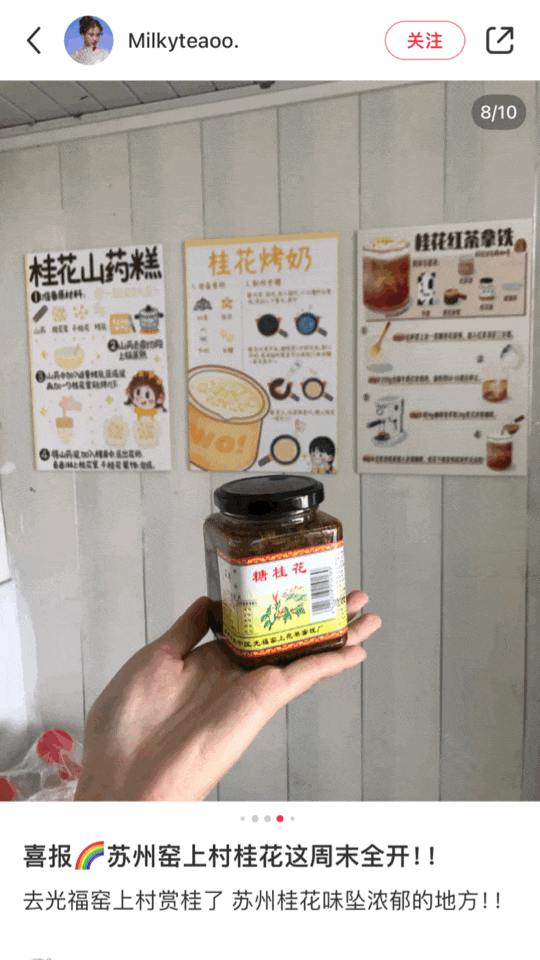 香！吴中今年“第一桂”开了