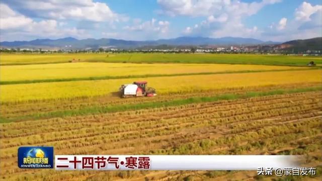 红河州，又上央视了！