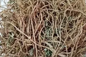 你知道艾根吗？有什么用处！图片