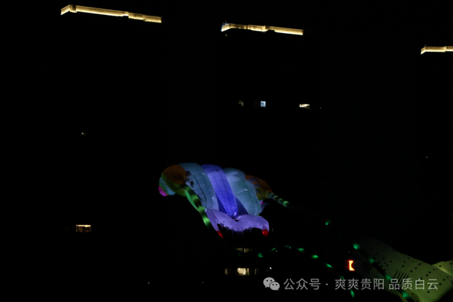 【爽游白云】“夜光绘星空·筝舞耀泉湖”——2025爽爽贵阳避暑季·白云泉湖公园夜光风筝放飞活动圆满落幕
