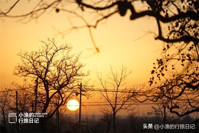 今冬顶流！陕西这片柿子林爆火出圈，美到封神！攻略来啦