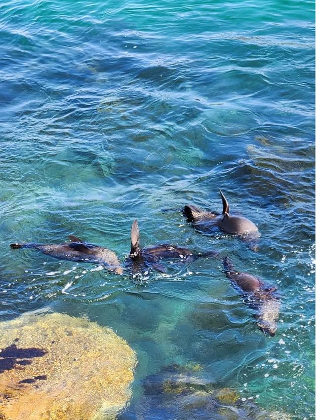 〔读城〕澳洲小镇游记