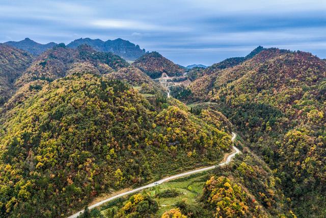 上坝彩林 彩林坝上