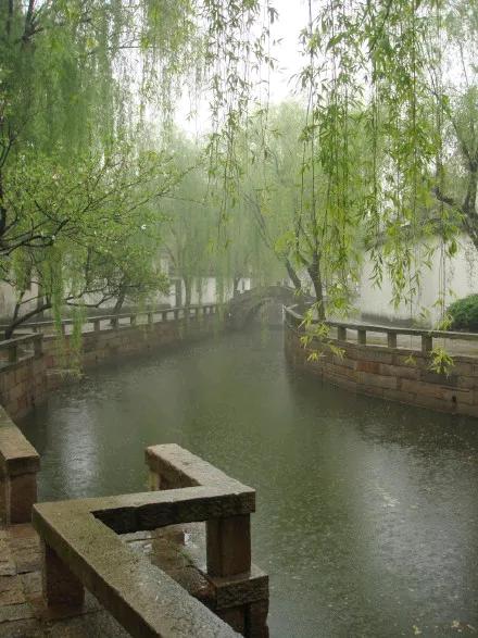 初秋雨中的景让人朦胧迷离，丝丝凉意掠过心田，别样滋味涌上心头