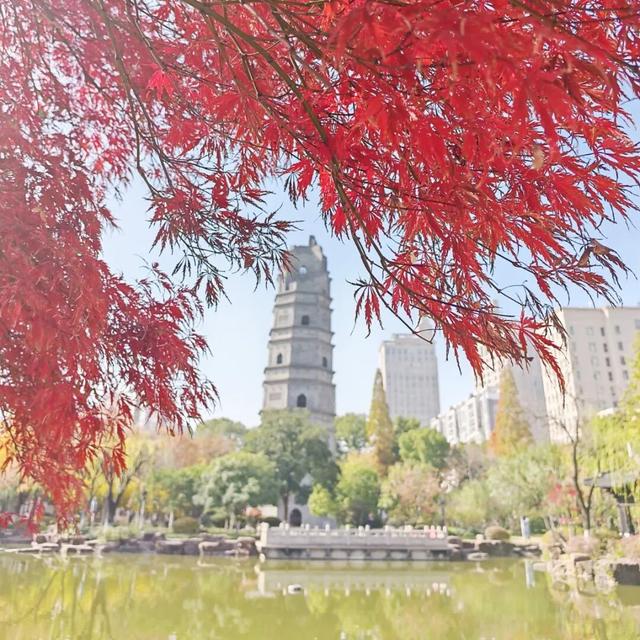 江阴版“西红柿炒蛋”，上线了！