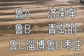 山东车牌之歌爆火网络，网友：很山东，很魔性！图片